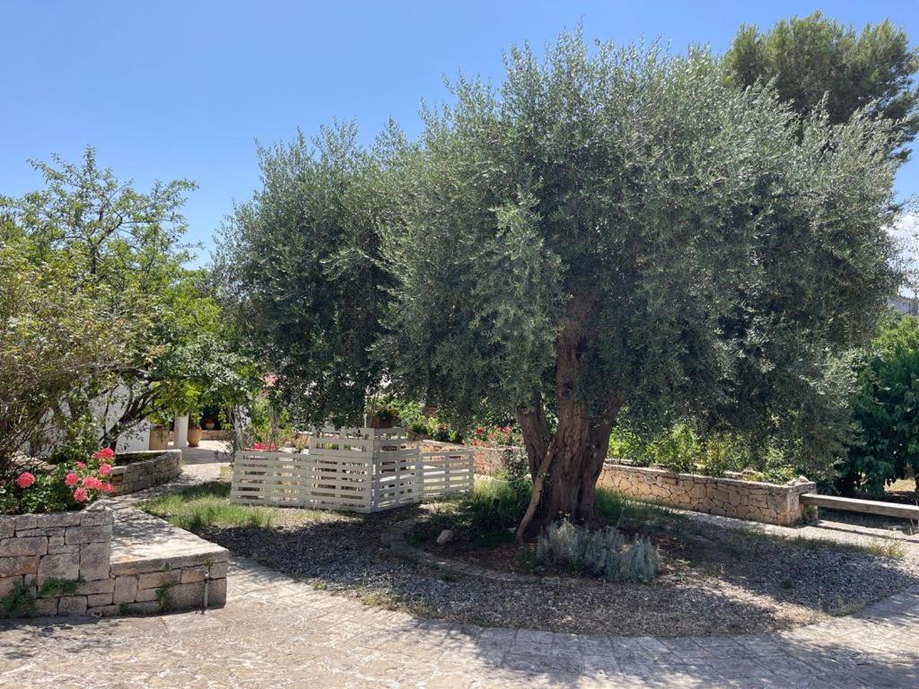 Вилла Il Giardino Degli Antichi Sapori Челье-Мессапика Экстерьер фото